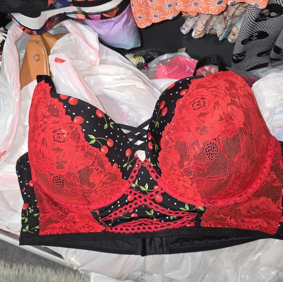 🍁🍂Torrid Cherry XO Plunge Push-Up Longline Bra 46dd - Picture 2 of 6